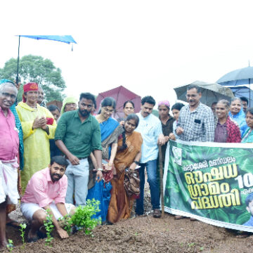 IMG_7202 ഔഷധ ഗ്രാമം പദ്ധതിയുടെ രണ്ടാം ഘട്ടം ഉദ്ഘാടനം ചെയ്തു