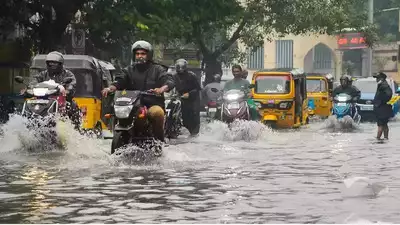 114212530 ദുരിതം വിതച്ച് ഫെയ്ഞ്ചല്